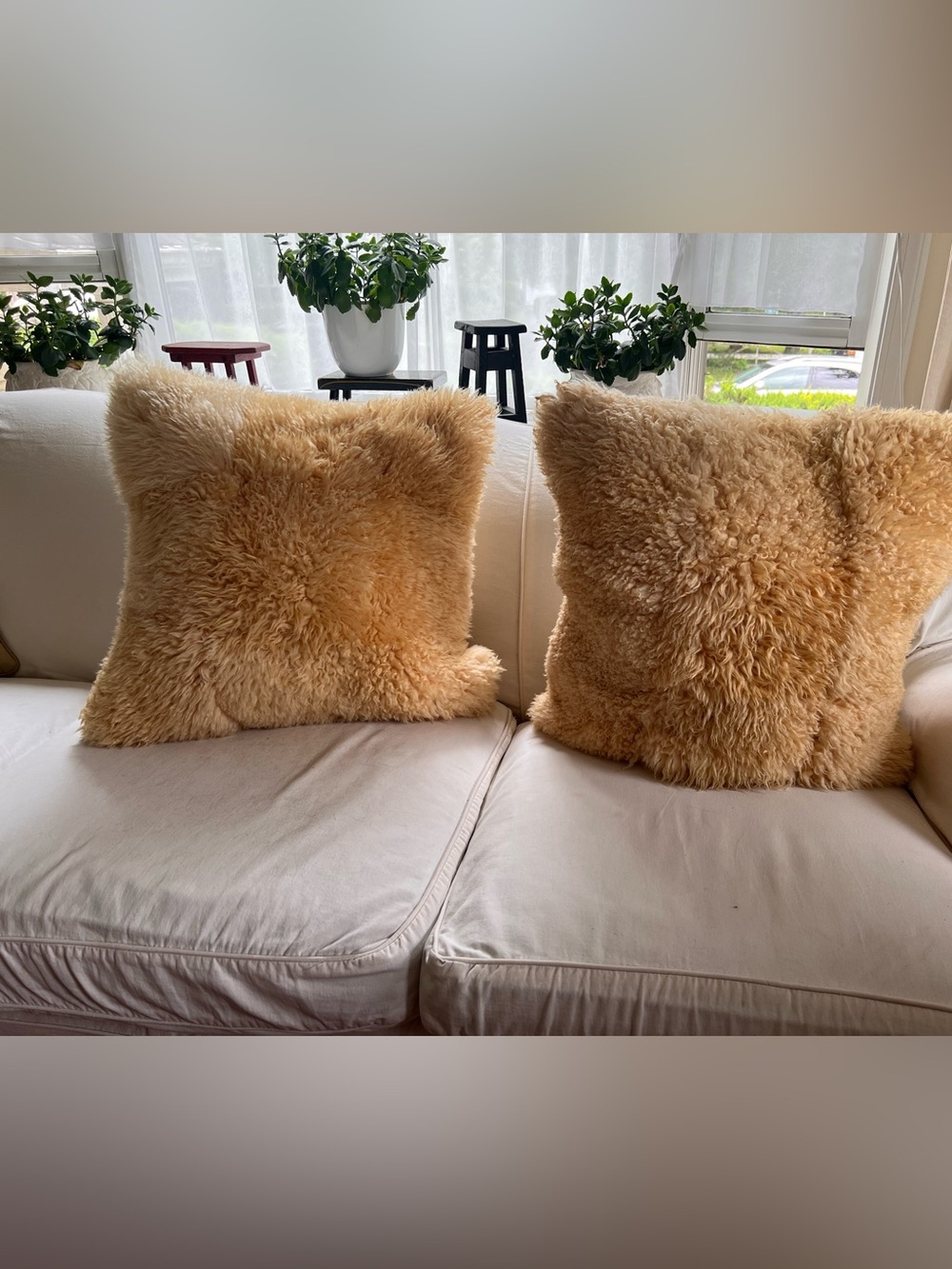 Iconic West Elm Mongolian Lamb Fur 26”Pillow Covers Luxurious Texture